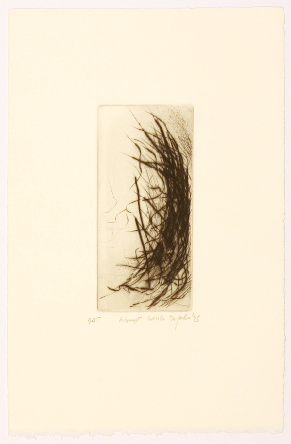 Abrupt by Isabelle Desjardins